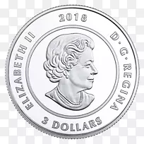 收集银币加拿大元硬币