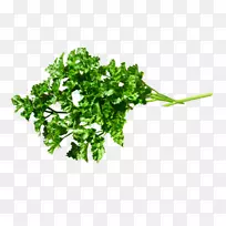 欧芹png图片食品草药图像.蔬菜