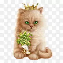 下午迎接夜晚的南非荷兰语-美丽的动画猫