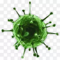 流感病毒电子显微镜细菌-H1N1病毒分离