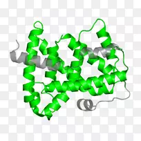 剪贴画产品有机体线-生物分子蛋白质