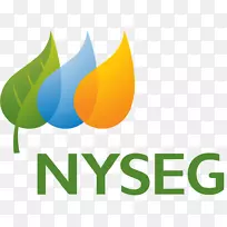 纽约州电力天然气公司标志纽约电力公司