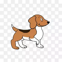 比格犬培育小狗伴犬鼻子-小狗