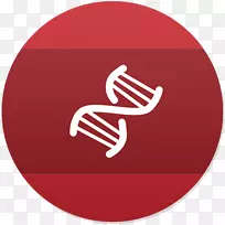 DNA核酸双螺旋遗传学生物技术高中入学考试