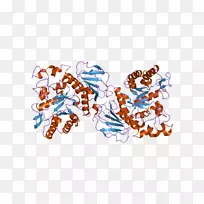 艺术产品有机体字体橙色S.A。