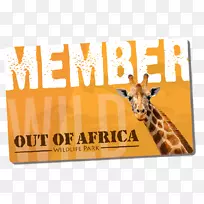 长颈鹿动物园字体品牌印刷-长颈鹿