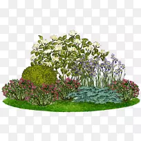 圆滑绣球花园，花环绣球，观赏植物-英国园林