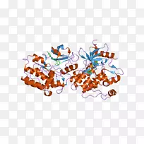 基因产物bcr