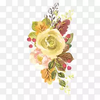 水彩画插图水彩：花卉图像png图片水彩材料