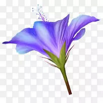 剪贴画png图片图像花计算机图标.花