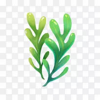 png图片-wiki图像藻类-藻类标志