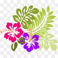 夏威夷木槿花剪贴画-Angie图标