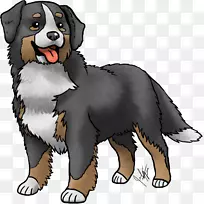 伯恩塞山犬繁殖猎犬大瑞士山犬伴犬-山犬