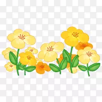 花卉绘图剪贴画图片png图片.花卉