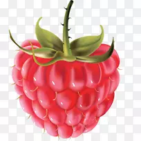 图形raspberry剪贴画png图片浆果