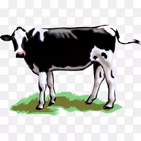 奶牛、泽西牛、牛巴卡牛、荷斯坦牛、弗里西亚牛、带心脏的泽西牛