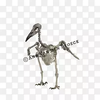 水鸟骨架雕像-疯狂骨骼猫