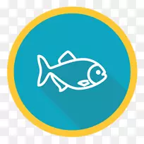信息鱼产品-150 dpi海洋