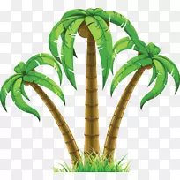 剪贴画png图片棕榈树图像图形.盖洛德棕榈树
