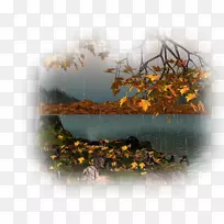 秋季风景画季节-秋季