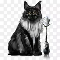 缅因州，波斯猫，挪威森林猫，西伯利亚猫，小猫
