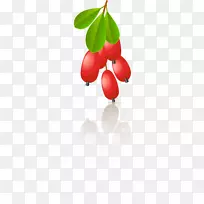 剪贴画玫瑰嘻哈浆果png图片-浆果