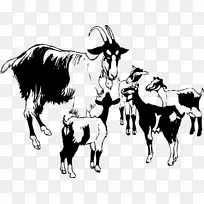 剪贴画露天图黑色孟加拉山羊插图.刑事诉讼程序