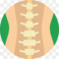 脊椎，腰椎，脊髓