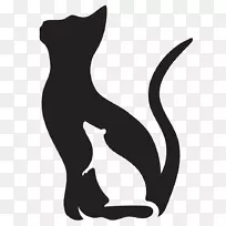 狡猾的猫救须犬
