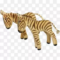 虎大猫陆生动物-老虎