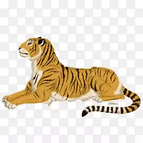 虎狮动物陆生动物-老虎