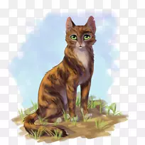 牛尾猫，暴风骤雨，猛禽，虎猫，猫科动物