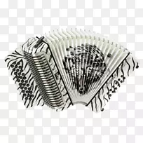双音按钮手风琴Hohner Corona ii经典的fbbeb hohner黑豹手风琴