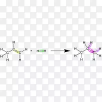 环磷酸腺苷有机化学物质理论
