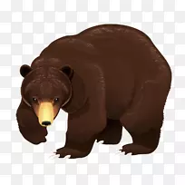 棕熊png图片剪贴画图形.熊