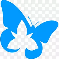 皇家安大略省博物馆蝴蝶生物多样性湖安大略省保水员-蝴蝶