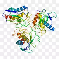 mmp 10基质金属蛋白酶mmp7 mmp2 stromelysin 1