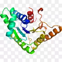 药物发现蛋白酪氨酸磷酸酶雌激素受体同源性模型-葡萄糖6磷酸脱氢酶缺乏