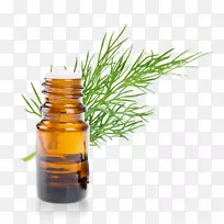 香精油，桉树油，芳香疗法，薰衣草油.油