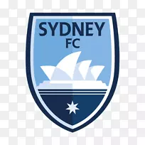 悉尼足球甲级联赛西悉尼流浪者队阿德莱德联队珀斯荣誉足球