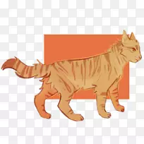 猫家族的猫变成了野虎战士-猫
