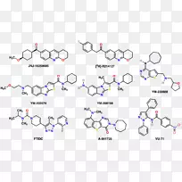 代谢型谷氨酸受体1，石醇，红宝石，bk染料，阿普胡萝卜素