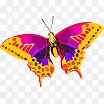 帝王蝴蝶生物圈保护区剪贴画昆虫图形.蝴蝶