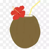 椰子水果饮料插图-配件业务