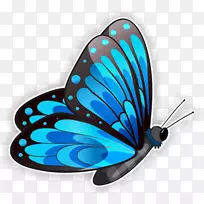 剪贴画png图片图像形态玻璃翼蝴蝶-阿迪西沃轮廓