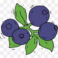 葡萄剪贴画越橘蓝莓-黑莓插图