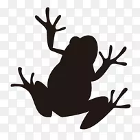 青蛙剪影插图图像两栖动物-青蛙