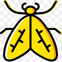 甲虫蝴蝶可伸缩图形计算机图标.甲虫