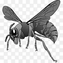 黄蜂可伸缩图形剪辑艺术-蜜蜂