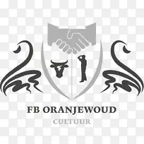 文章题目：Stichting Fb Oranajoud L.k.c.诺南堡
